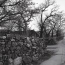 갈담2리 이미지