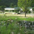 감문중학교 이미지