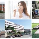 동명초등학교/동명유치원 네이버블로그