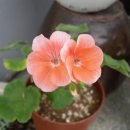 (주)오비트 이미지