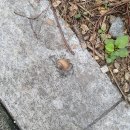 백억커피양천 | [250903] 네이버야 별 걸 다 시키누...(글감 기능을 처음 써보아요^^!)