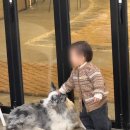 더쿠PC방 이미지