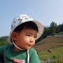 유찬목장 이미지