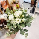 다인로얄팰리스배곧8차(배곧로얄팰리스8차) | 배곧셀프사진관 가족사진찍고 추억만들기 성공! 디온스튜디오 배곧점 후기