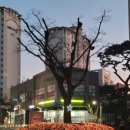 금별부동산공인중개사사무소 이미지