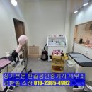 올데이독 이미지