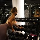 로얄짐 이미지