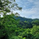 전주 고덕산 6.4 이미지