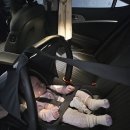 페도라 바구니카시트 언제까지 사용가능할까? 10개월까지 사용 찐 후기