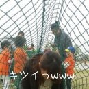 콜포 네이버블로그