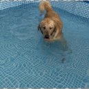 행복한아이유치원 이미지