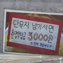 홍짜장위례