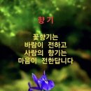 " 가슴으로 답하라 "" 이미지