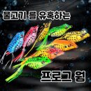 웅진레포츠 이미지