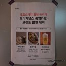 통영AIRBNB | 로컬스티치 통영 숙박 후기 _ 스티치 싱글 항남동 _ 워케이션 추천