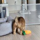 루이몽 | 2024년 7월 27일, 땡초 만난 날