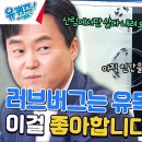 7월3일 유퀴즈 온 더 블럭 시청 필수 여름철 불청객 '러브버그' 퇴치하는 방법 영상 이미지