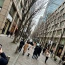 정리수납(야) | 도쿄역 환승 가이드 실제 다녀온 후기 정리