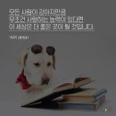 뭉치