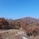연대봉식당 - 강서구 천성동 | 연대봉식당