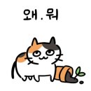 모여봐요 고양이 카페 이미지