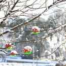 광주콩종합센터 이미지