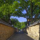 지전여자 이미지