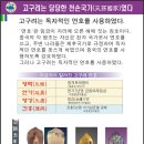 천손