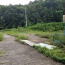 김나연공인중개사사무소 이미지