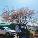 나주볼테기 이미지