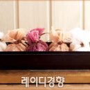 명품떡