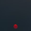 크레프 Daum카페