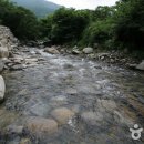 성흥사 - 1889 | 성흥사