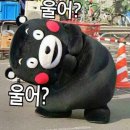 [캐나다워홀] 워홀 준비 기록