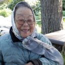 거제도애광원 이미지