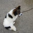 선경 양봉 | #전남에서먼저살아보기-#농협청년농부사관학교2차 팸투어 (3-5일차)