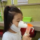 야니랜드 이미지