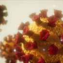 한미바이오 이미지