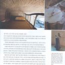 자연을 닮은 집 이미지