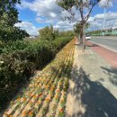 강변길 북천 이미지