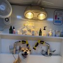 허벌라개 이미지