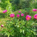 학표농자재 이미지