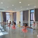블리스발레아카데미 이미지