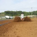 가성농장 이미지