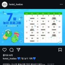 호두네 맡겨보개 | [ 안산 선부동 ] 강아지 유치원 “호두네 맡겨보개”