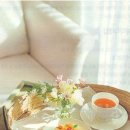 모세목장 이미지