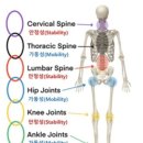 바른습관PT 이미지