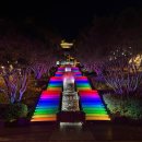 수목원마트편의점 | 경북 고령 가볼만한곳 12월 대구 근교 대가야수목원 빛의숲