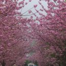 연일목장 이미지