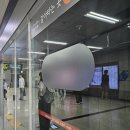 길목죽집 | [워킹맘 건강] 복부 CT (조영제 주사) 후기